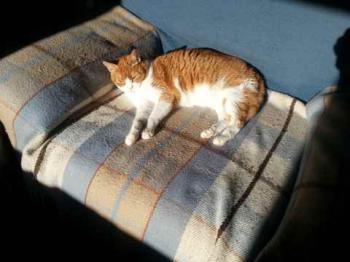 Judith Bild von Judith