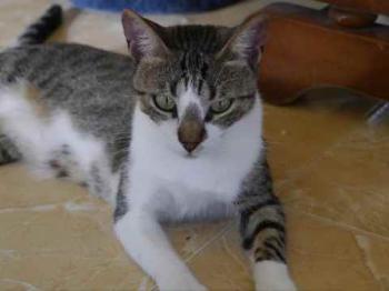 Bild von Mijou