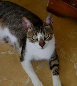 Bild von Mijou