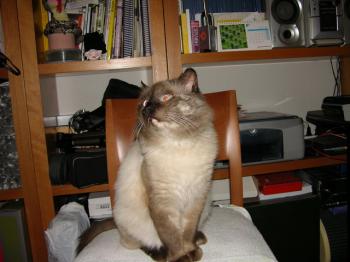 Caspian Bild von Caspian