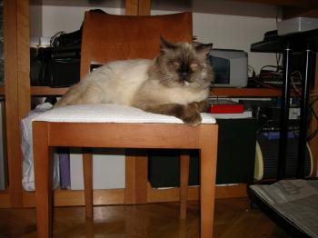 Caspian Bild von Caspian