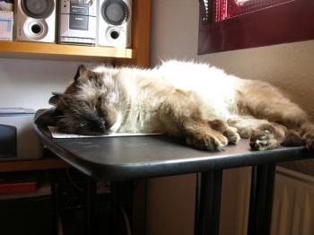 Caspian Bild von Caspian