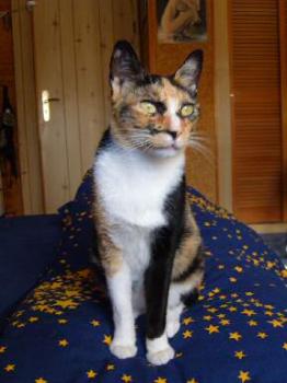 Dorotea Bild von Dorotea