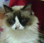 Lucrecia Bild von Lucrecia