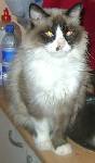 Lucrecia Bild von Lucrecia