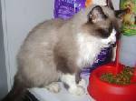 Lucrecia Bild von Lucrecia