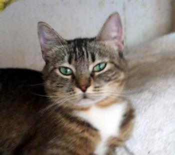 Ohne Namen 5722 Bild von Maya