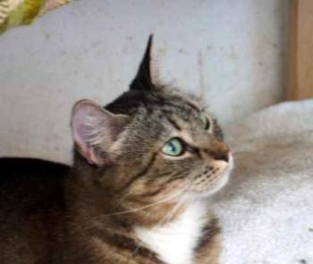 Ohne Namen 5722 Bild von Maya