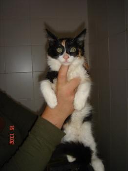 3 Bild von Melly