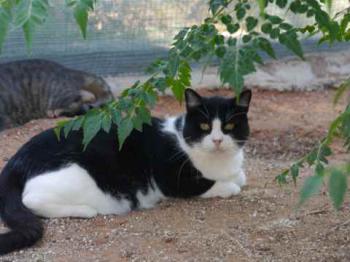 Bild von Abu