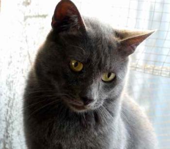 Willy Bild von Willy