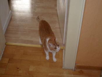 Ginny Bild von Gene