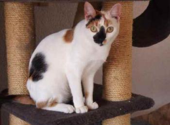 Nena Bild von Nena