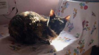 Rosalind Bild von Rosalind