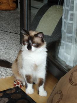 Cheyenne Bild von Cheyenne