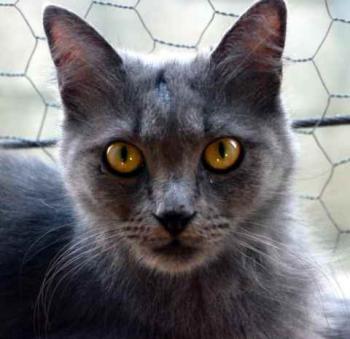 Yasmin Bild von Yasmin