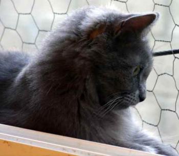 Yasmin Bild von Yasmin