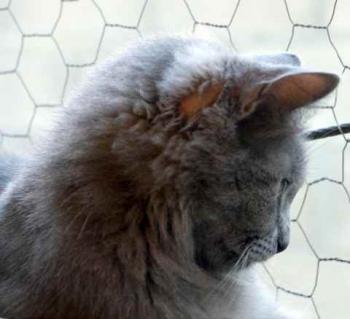 Yasmin Bild von Yasmin