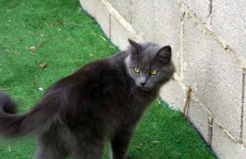 Yasmin Bild von Yasmin