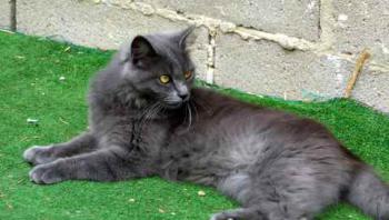 Yasmin Bild von Yasmin