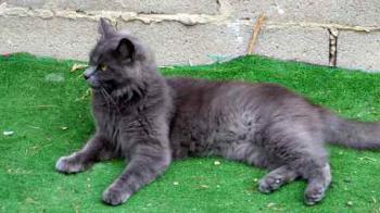 Yasmin Bild von Yasmin