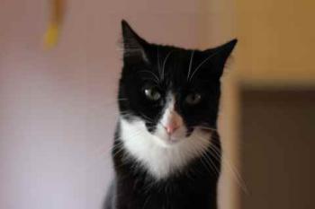 Jerry Bild von Jerry