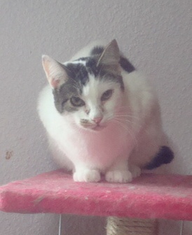 Bild von Mari