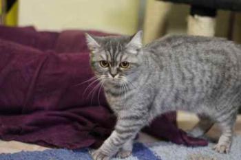 Miss Marple Bild von Miss Marple