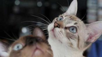 Minou Bild von Minou