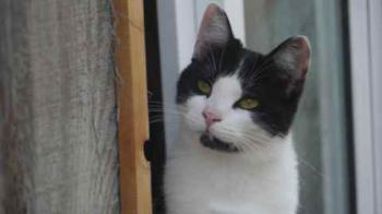 Blacky Bild von Blacky