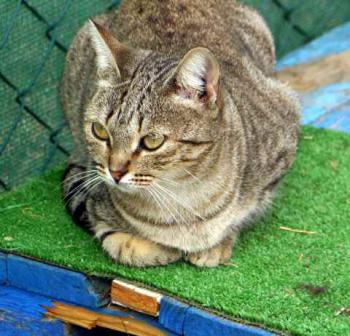 Bild von Inga