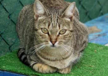Bild von Inga