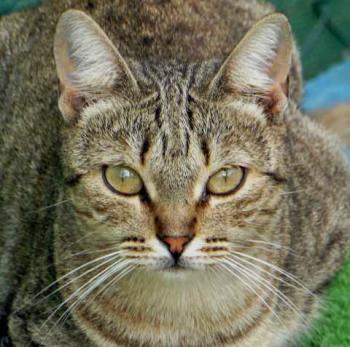 Bild von Inga