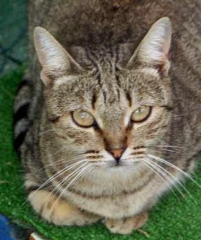 Bild von Inga