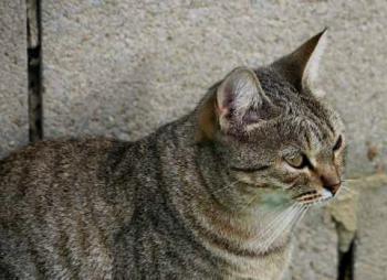 Bild von Inga