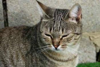 Bild von Inga