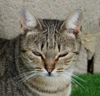 Bild von Inga