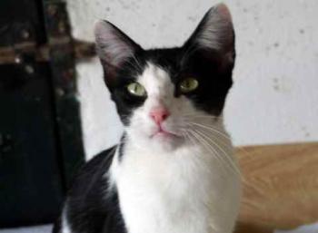 Fenja Bild von Fenja