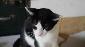 Fenja Bild von Fenja