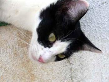 Fenja Bild von Fenja