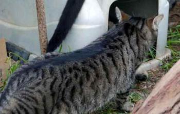 Jacki Bild von Jacki