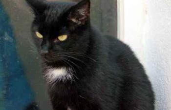 Sally Bild von Sally