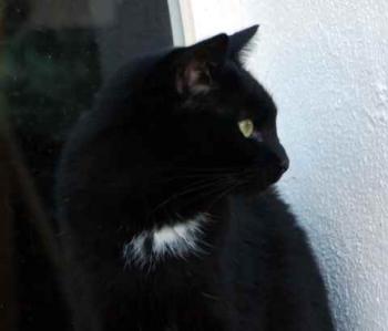 Sally Bild von Sally