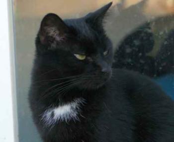 Sally Bild von Sally