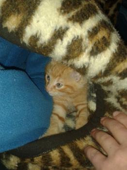 Astrid Bild von Astrid