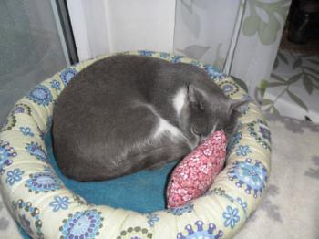 Aaron 5715 Bild von Aaron 5715