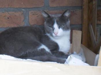 Aaron 5715 Bild von Aaron 5715