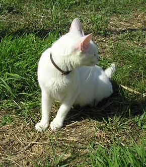 Blanca Bild von Blanca