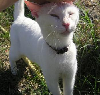 Blanca Bild von Blanca