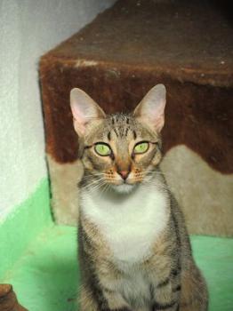 Bild von Lisa